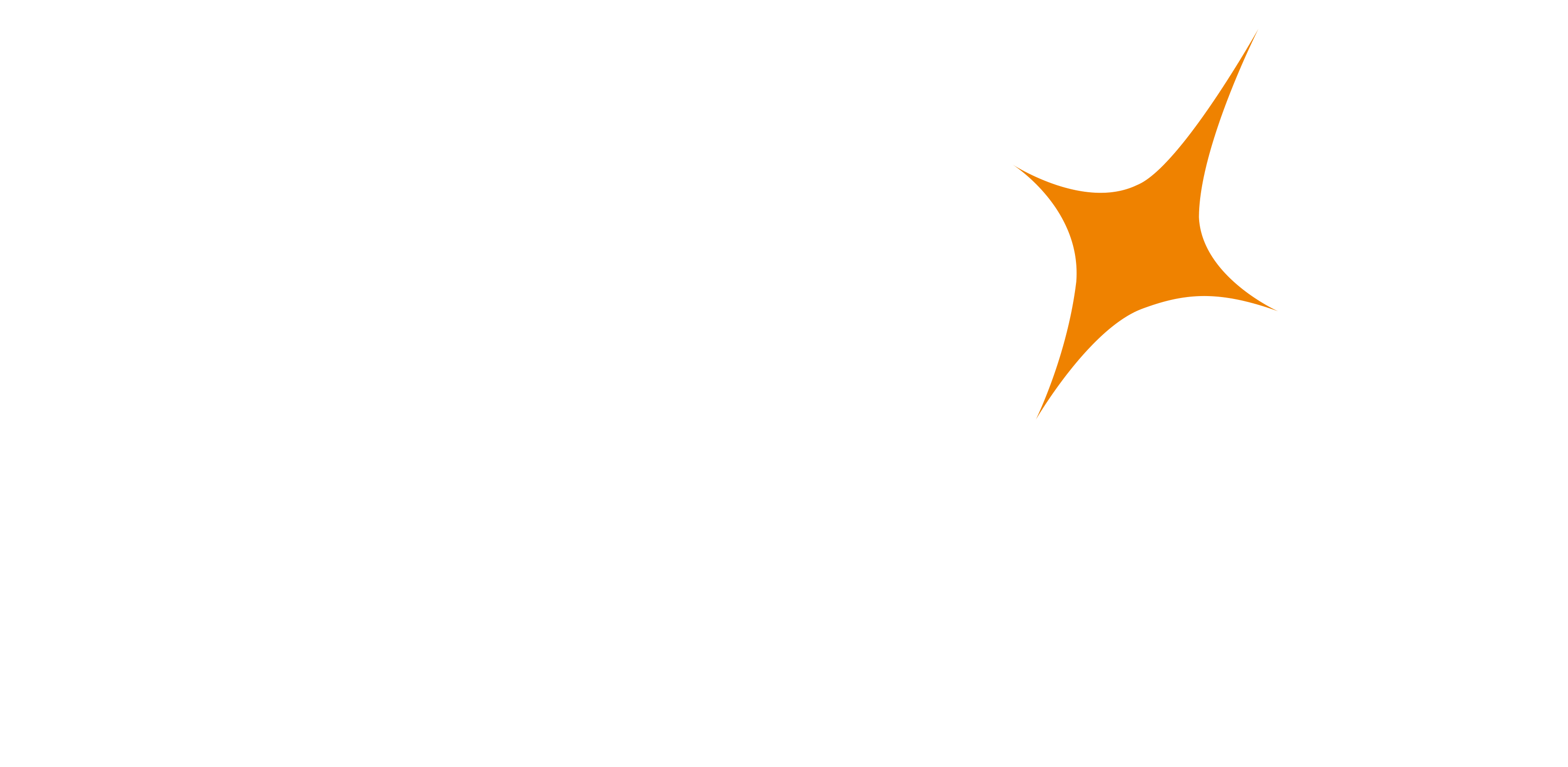 Fenix 菲尼克斯